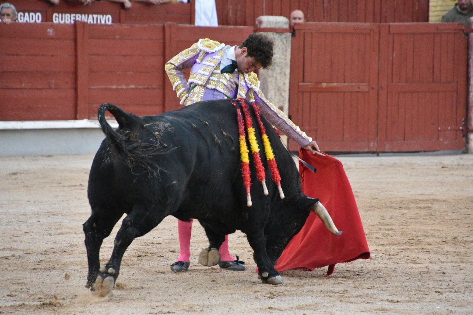 Imagen 11