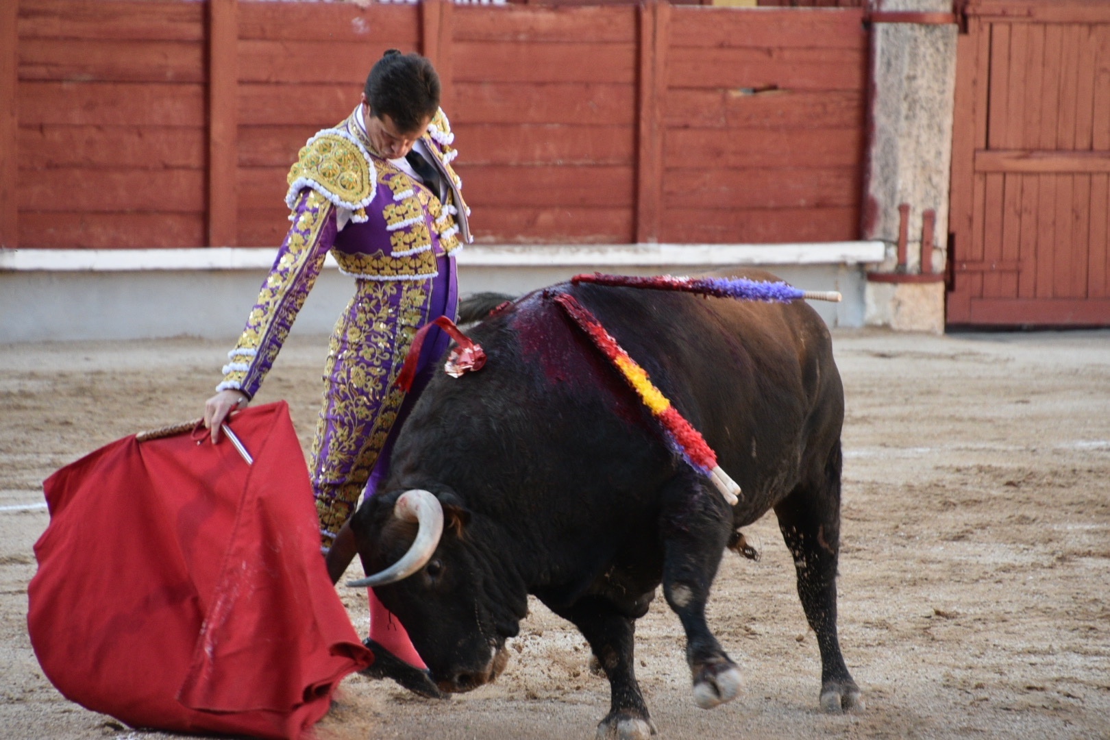 Imagen 1