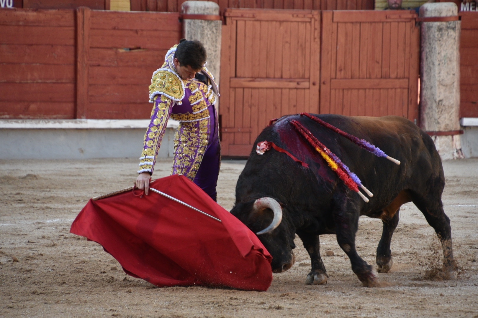 Imagen 2