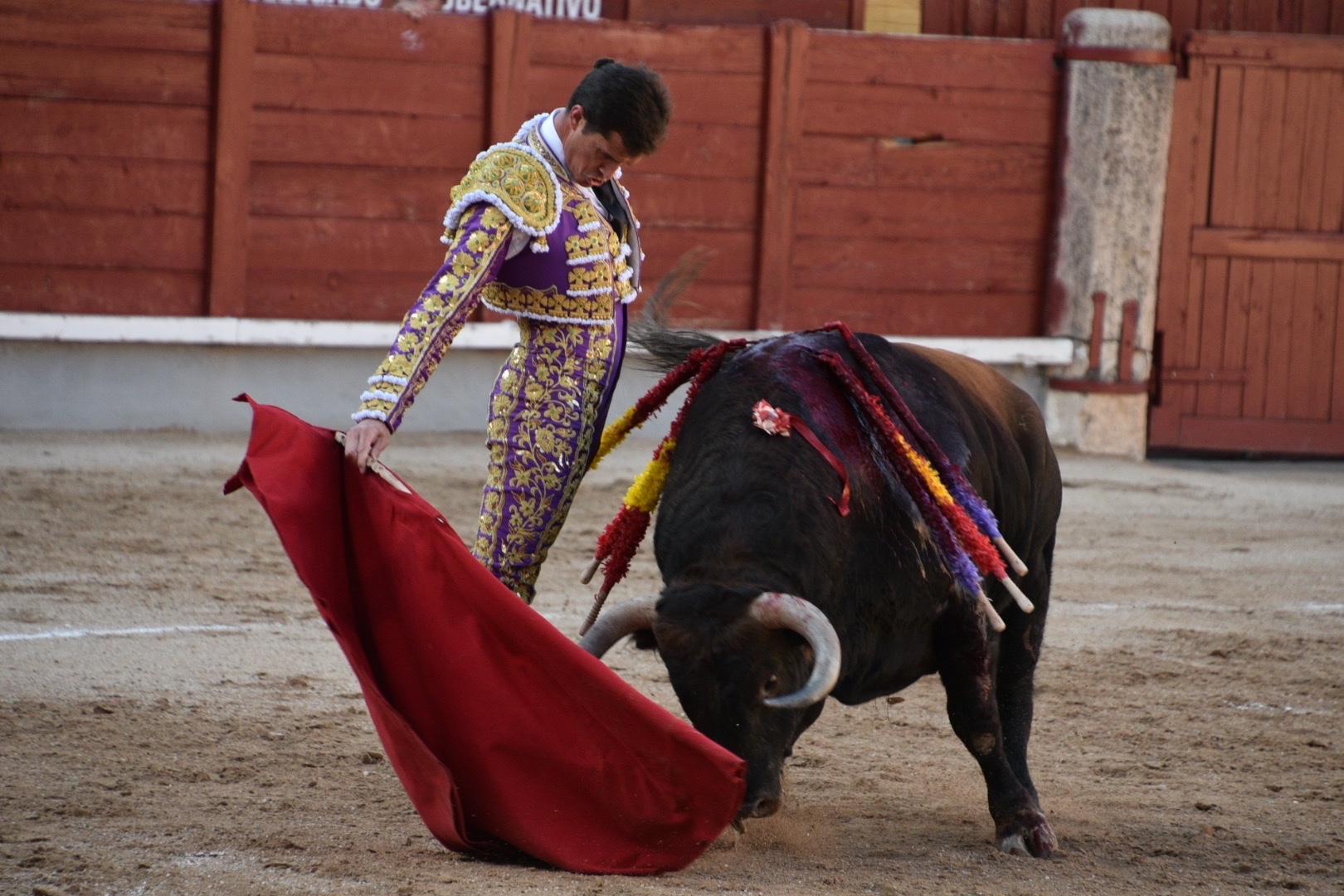 Imagen 3