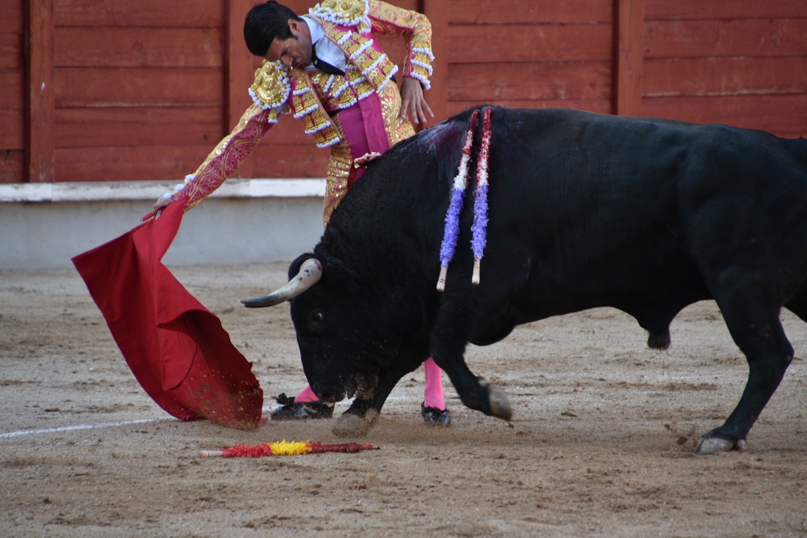 Imagen 4
