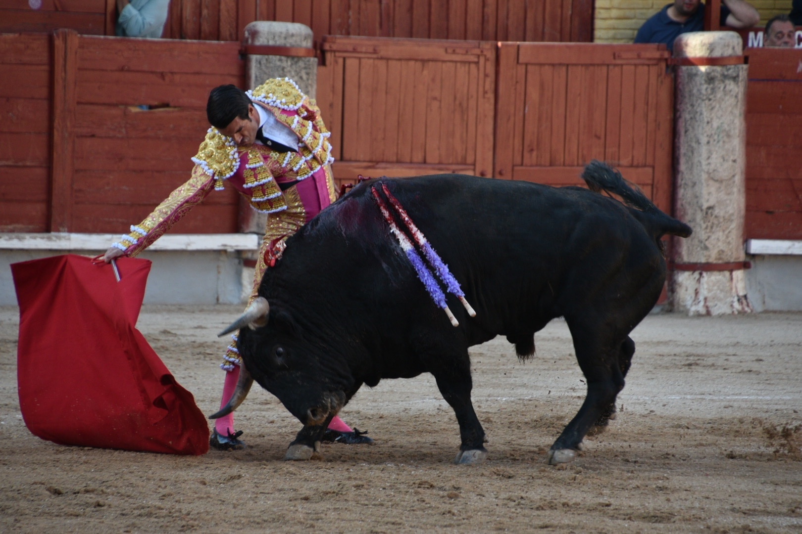 Imagen 5