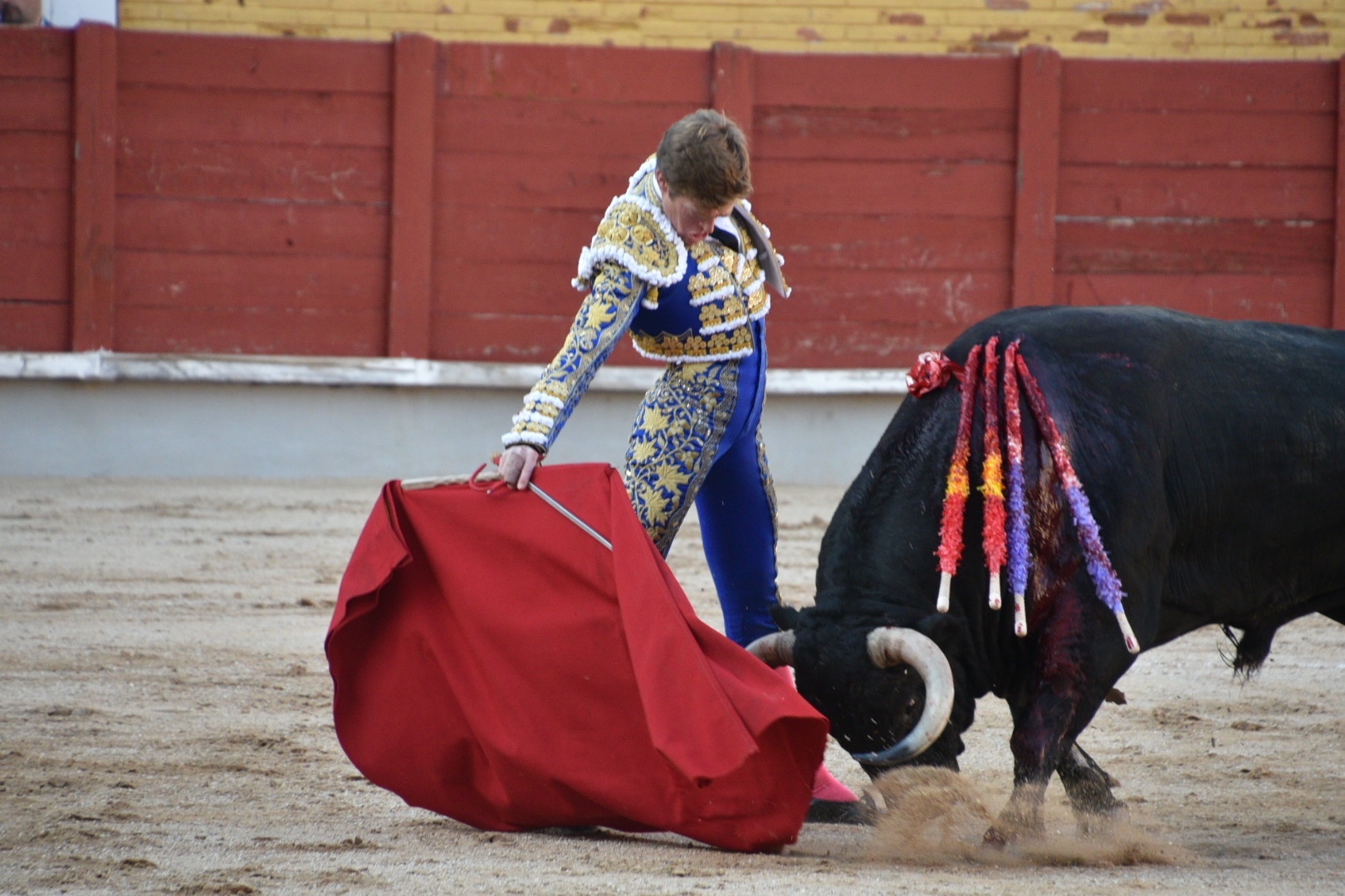 Imagen 6