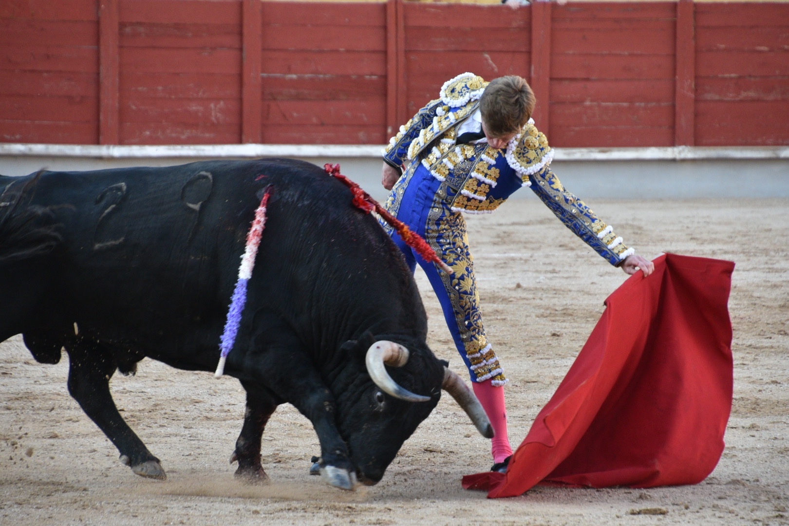 Imagen 7