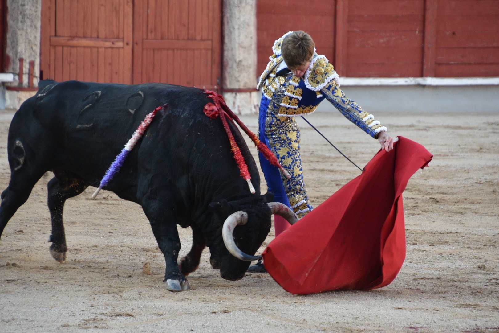 Imagen 8