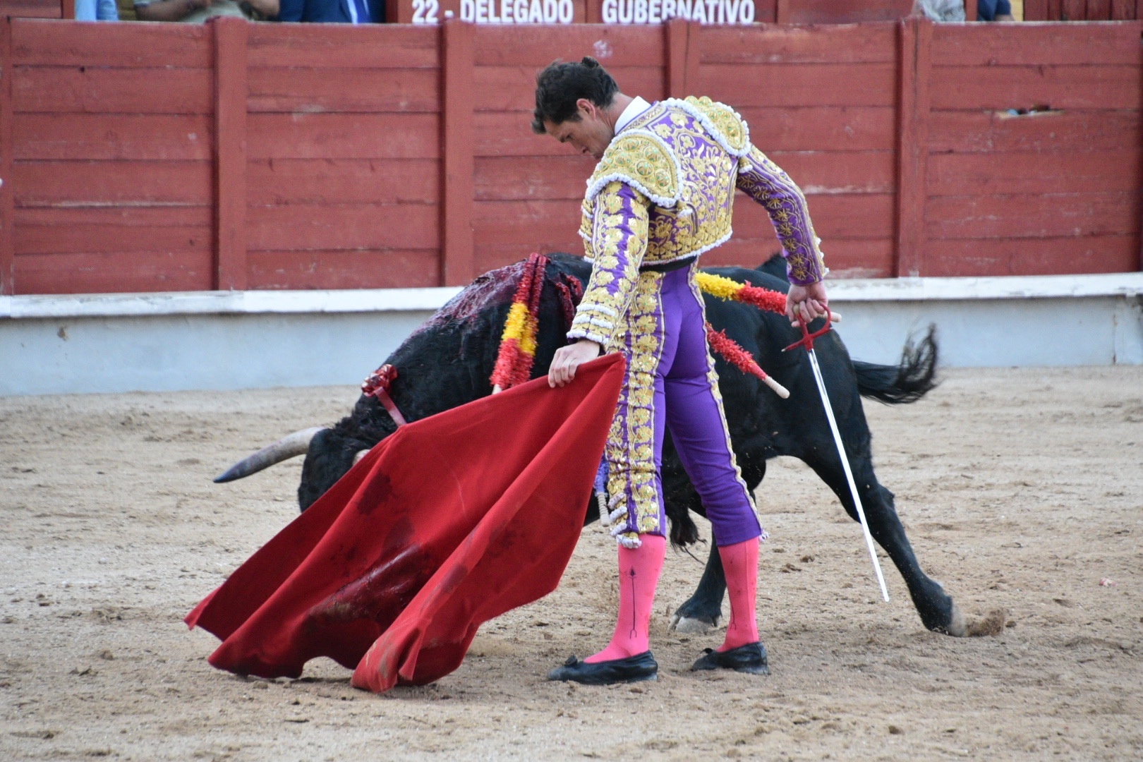 Imagen 9