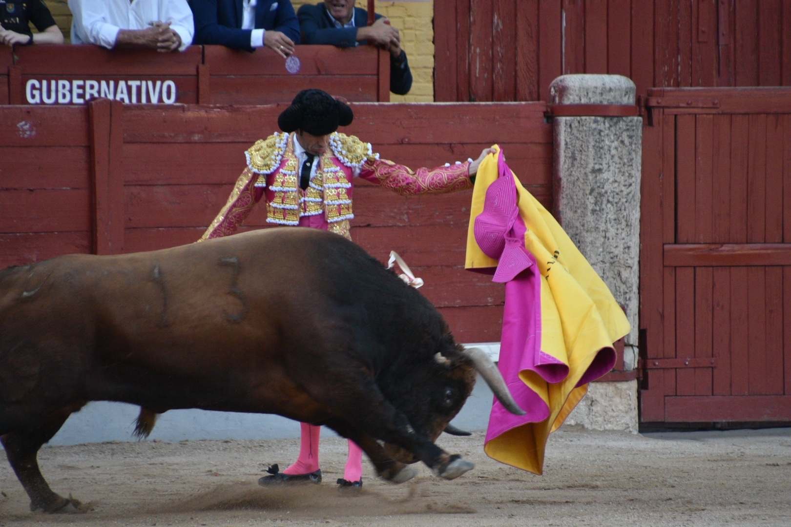 Imagen 10