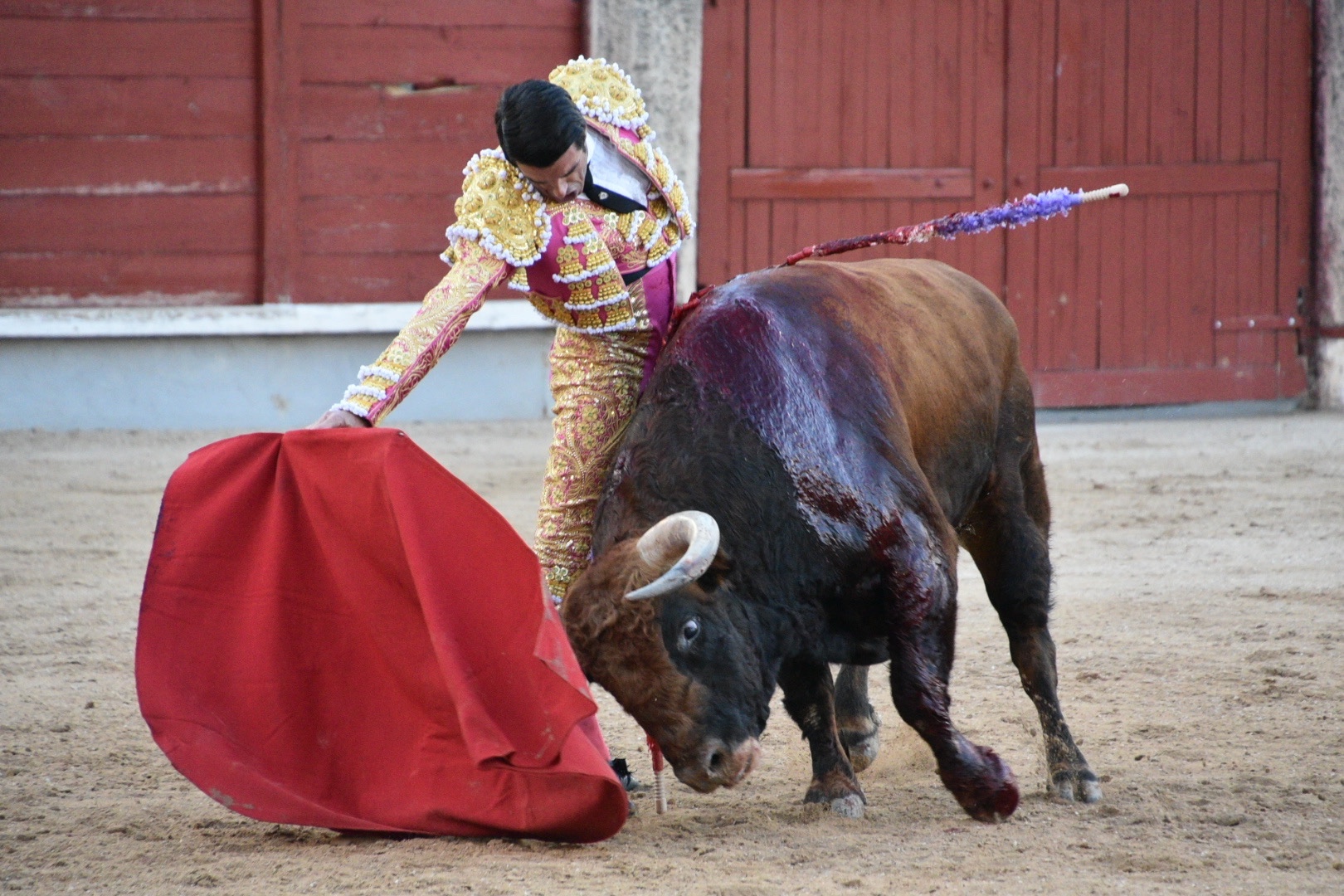 Imagen 11