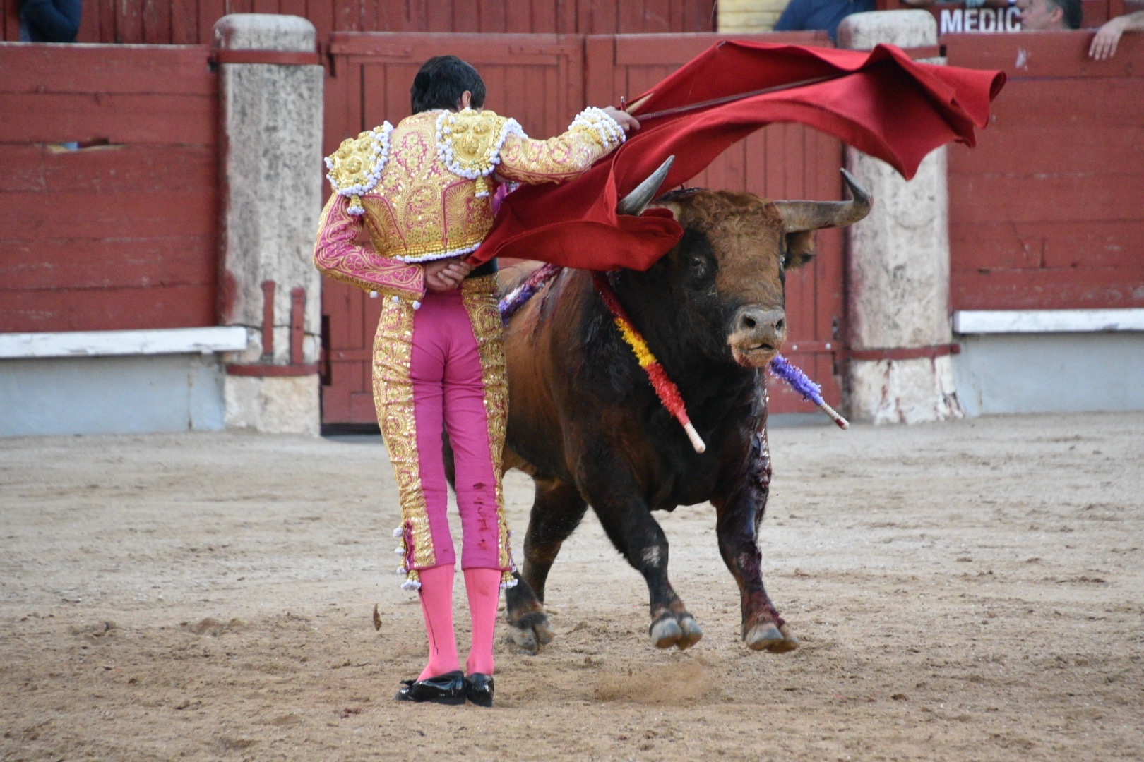 Imagen 12