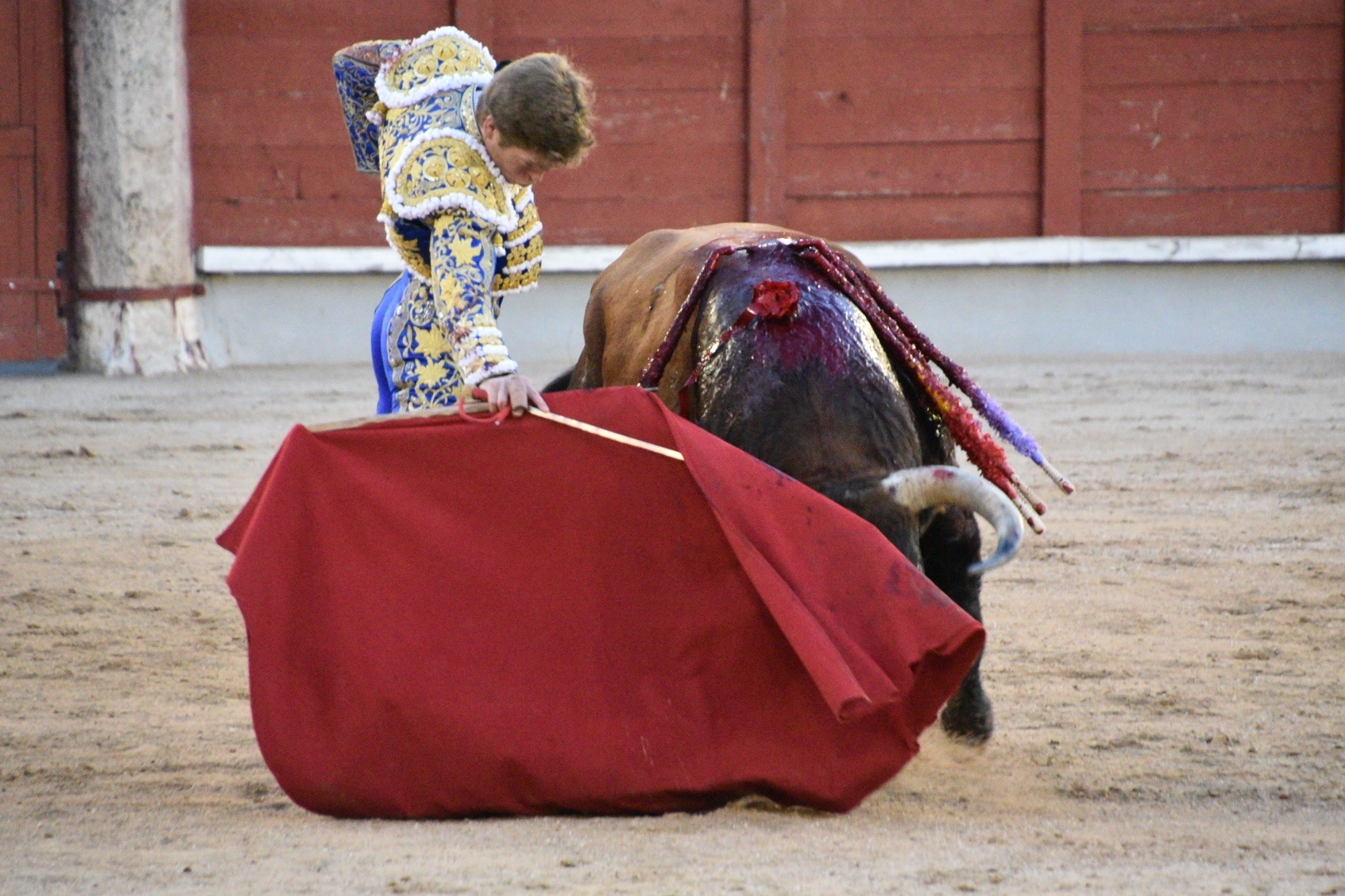 Imagen 13