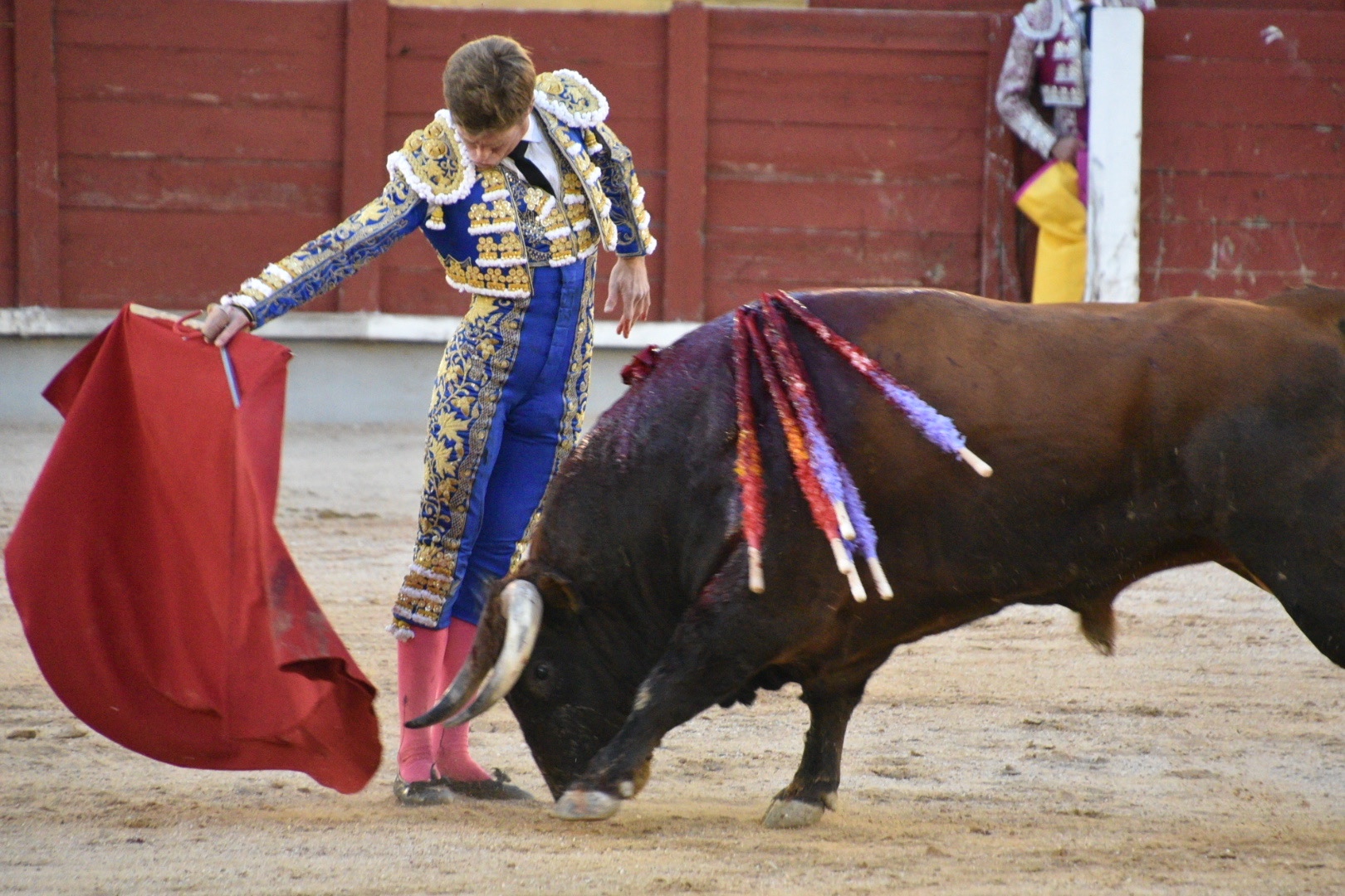 Imagen 14