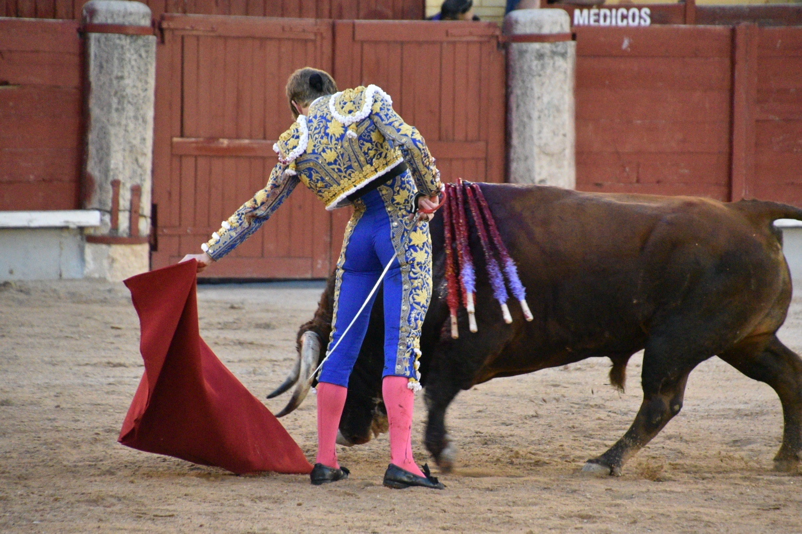 Imagen 15