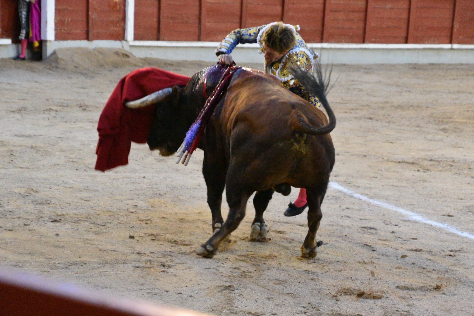 Imagen 16
