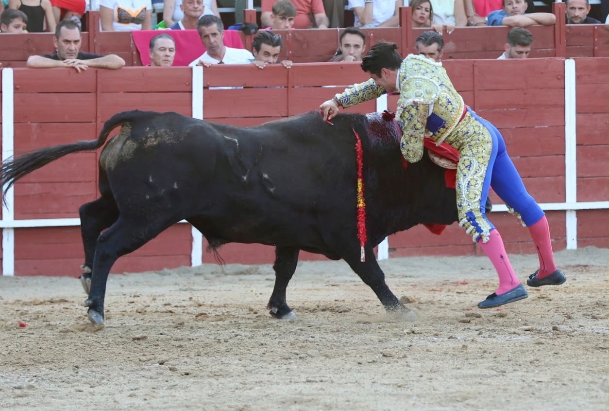 Imagen 1