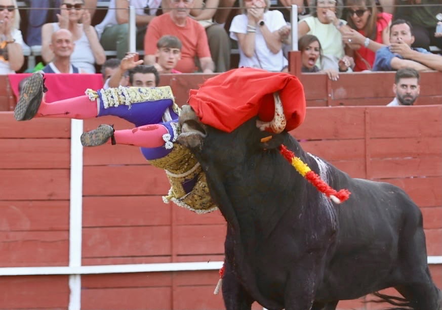 Imagen 2