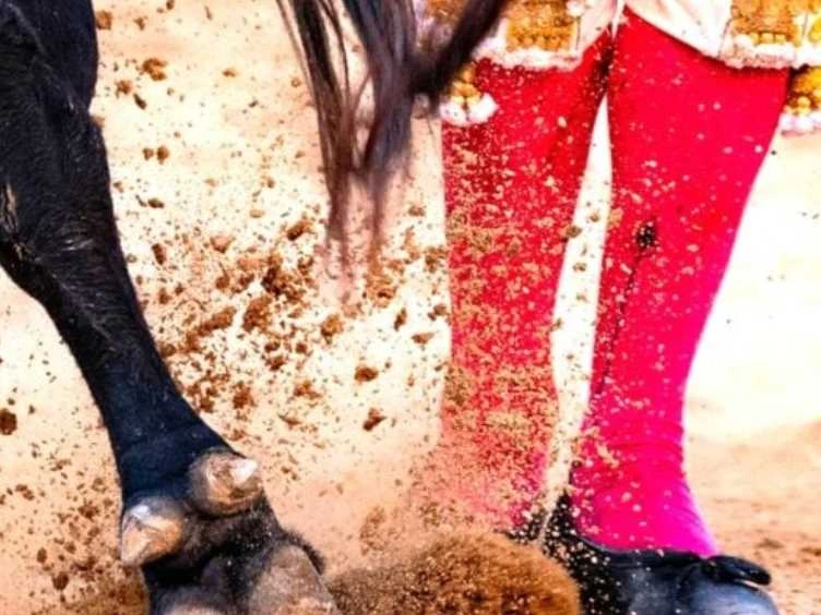 Once nombres para el Grupo Especial: así quedará la élite del toreo en 2027