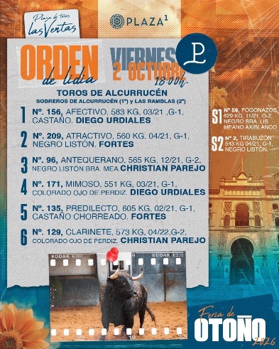 Imagen 7