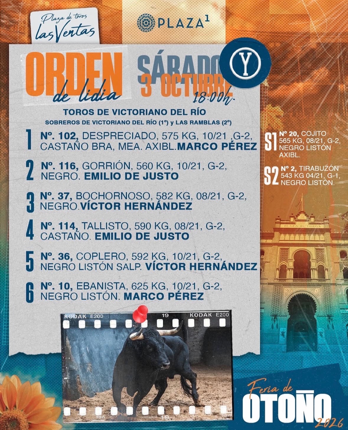 Imagen 7