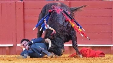 Talavante, trasladado al hospital con una cornada grave tras su triunfo en Sevilla