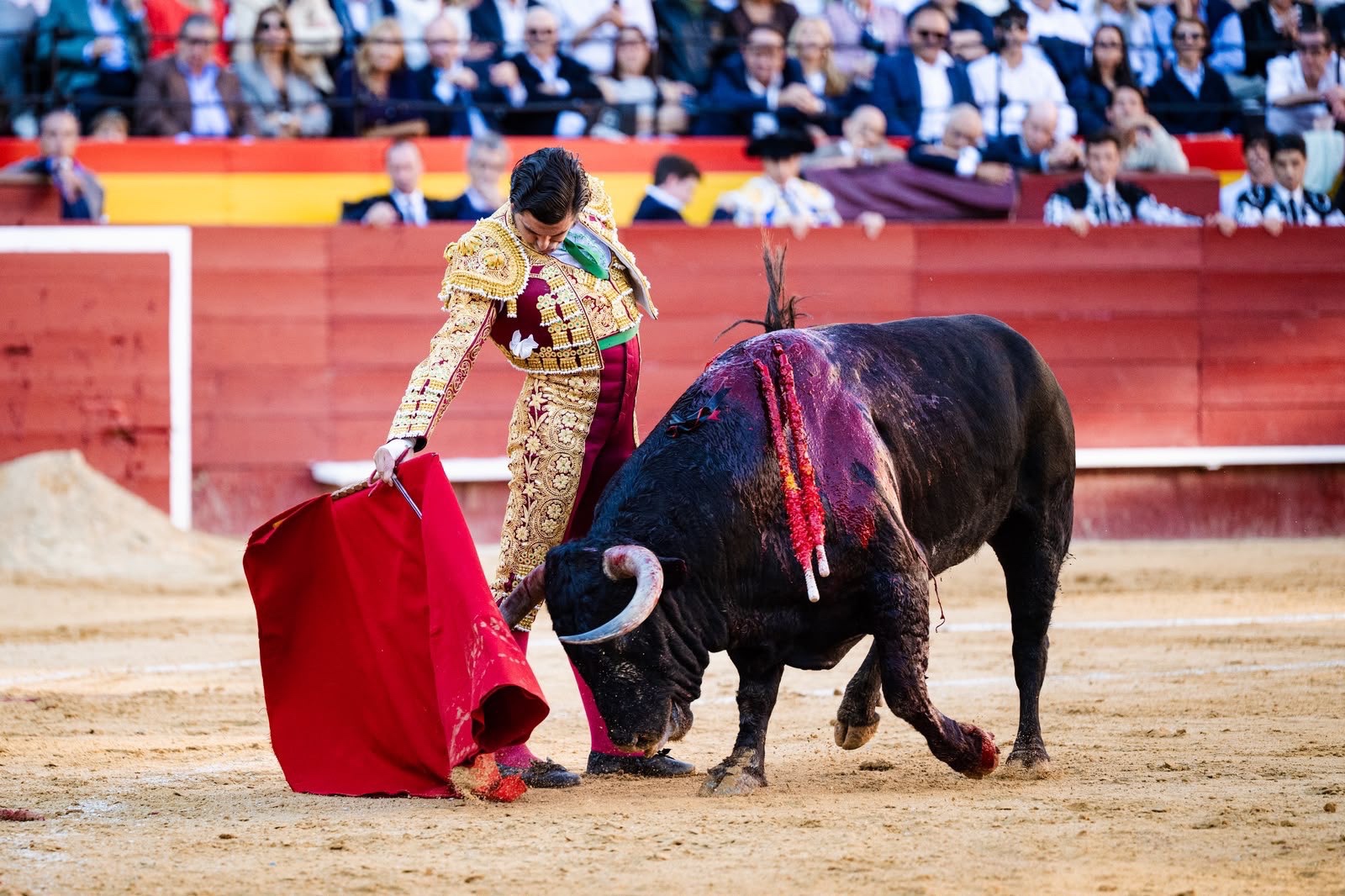 Imagen 1