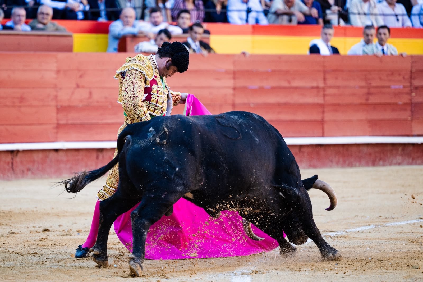 Imagen 4