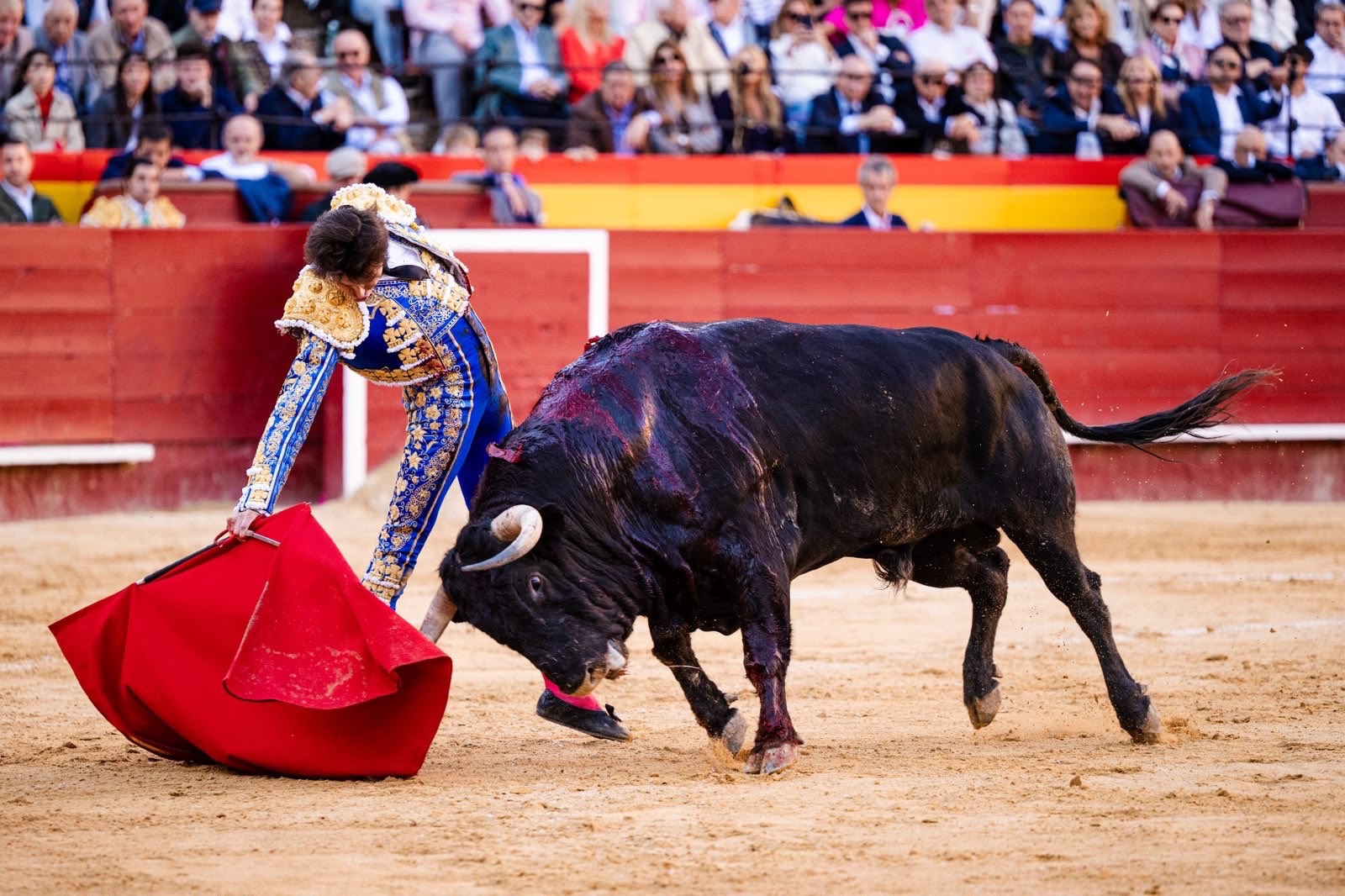 Imagen 5