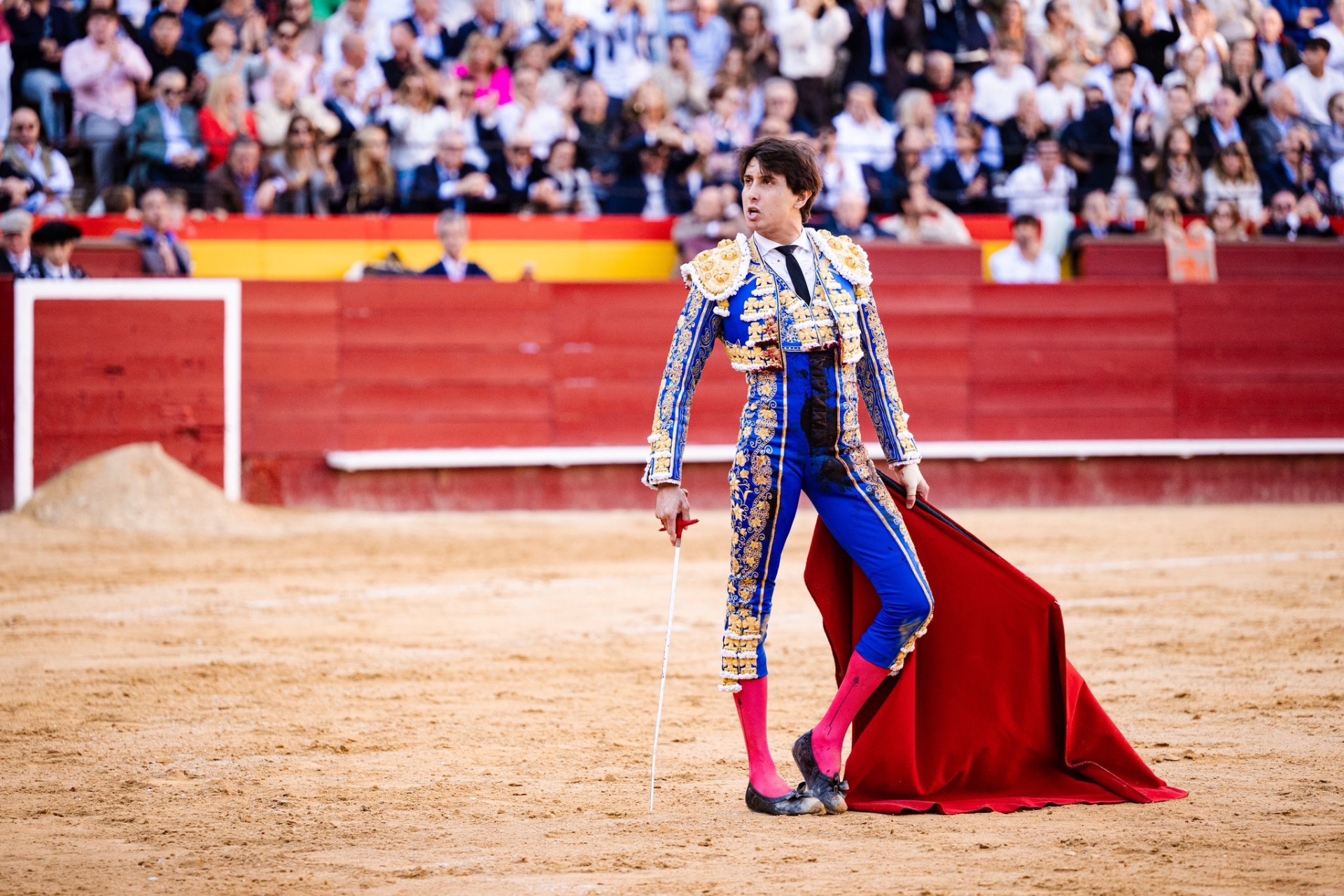 Imagen 6