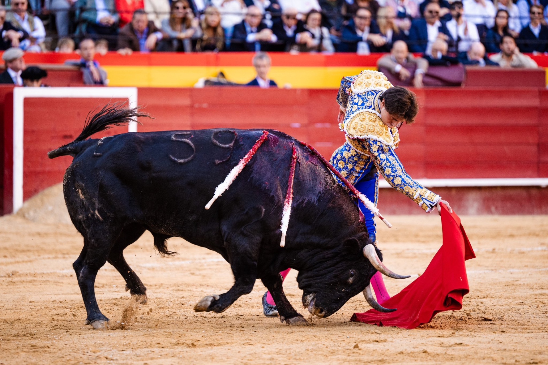 Imagen 7