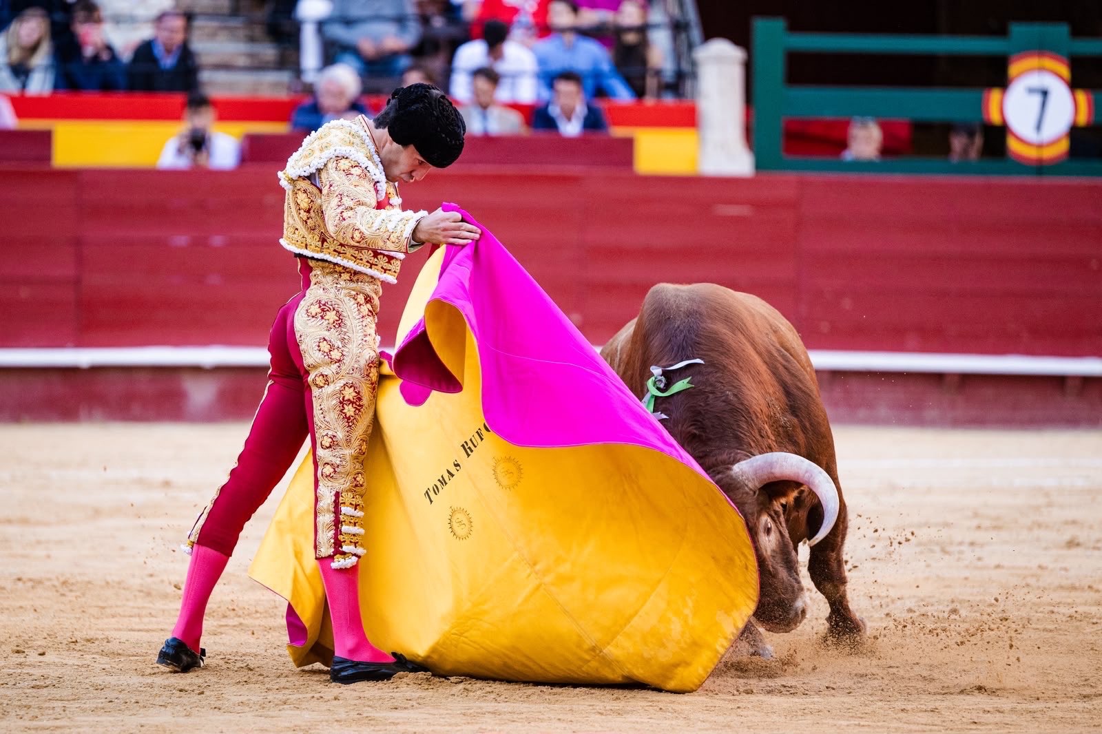 Imagen 9