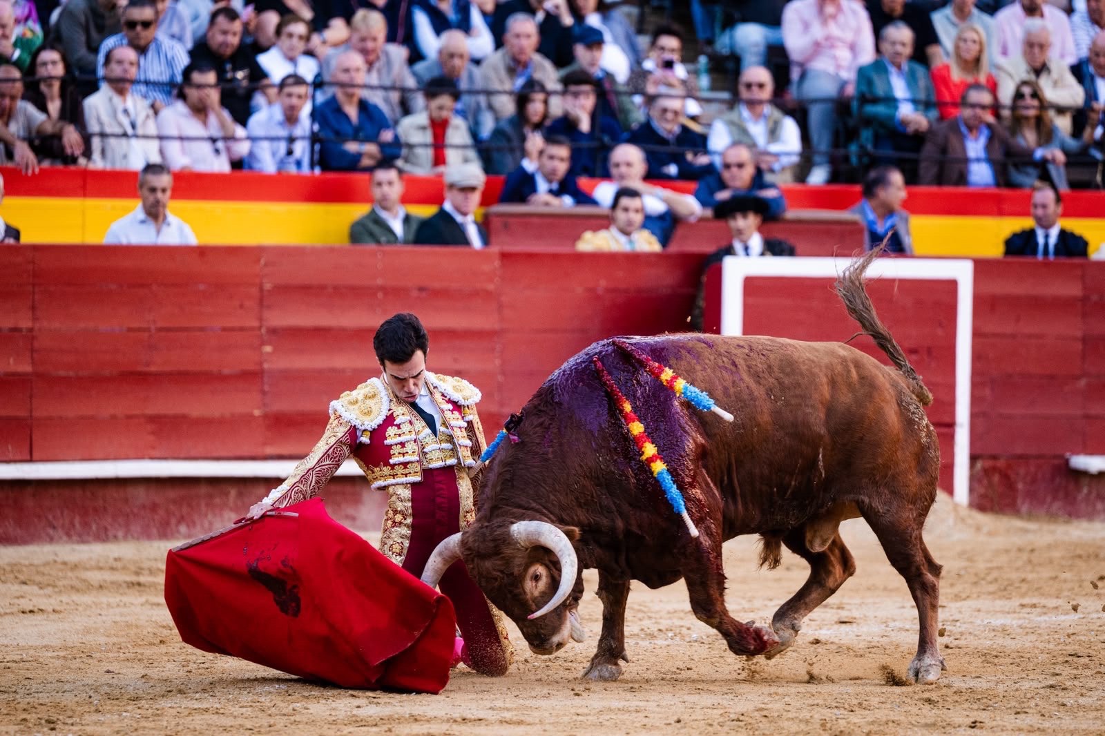 Imagen 10