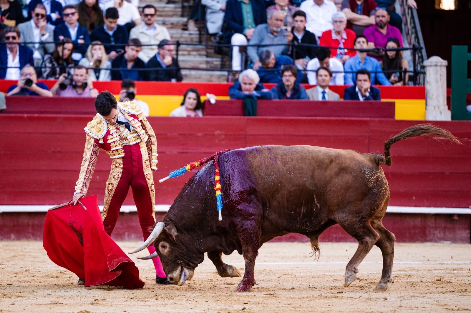 Imagen 11