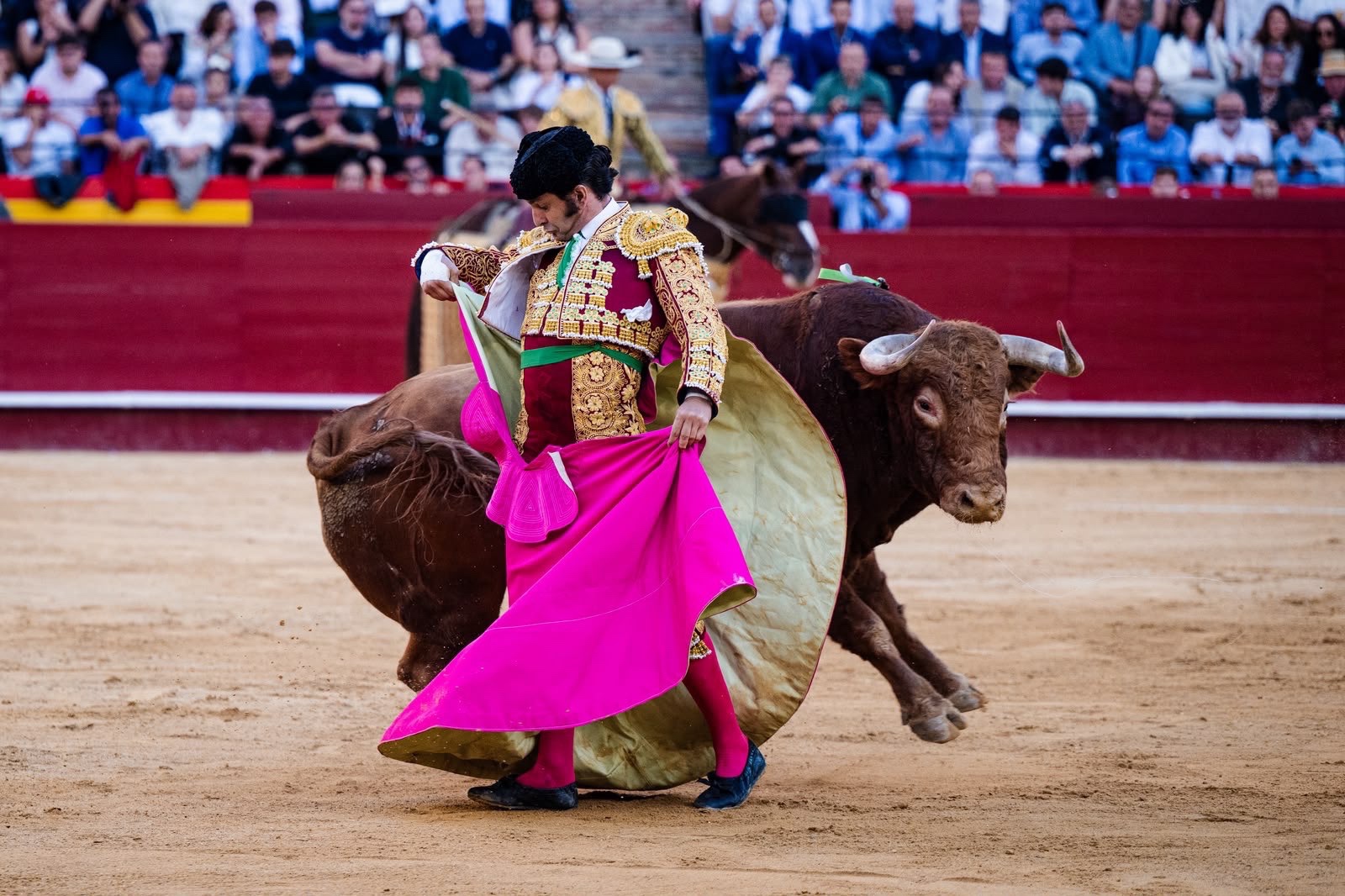 Imagen 14