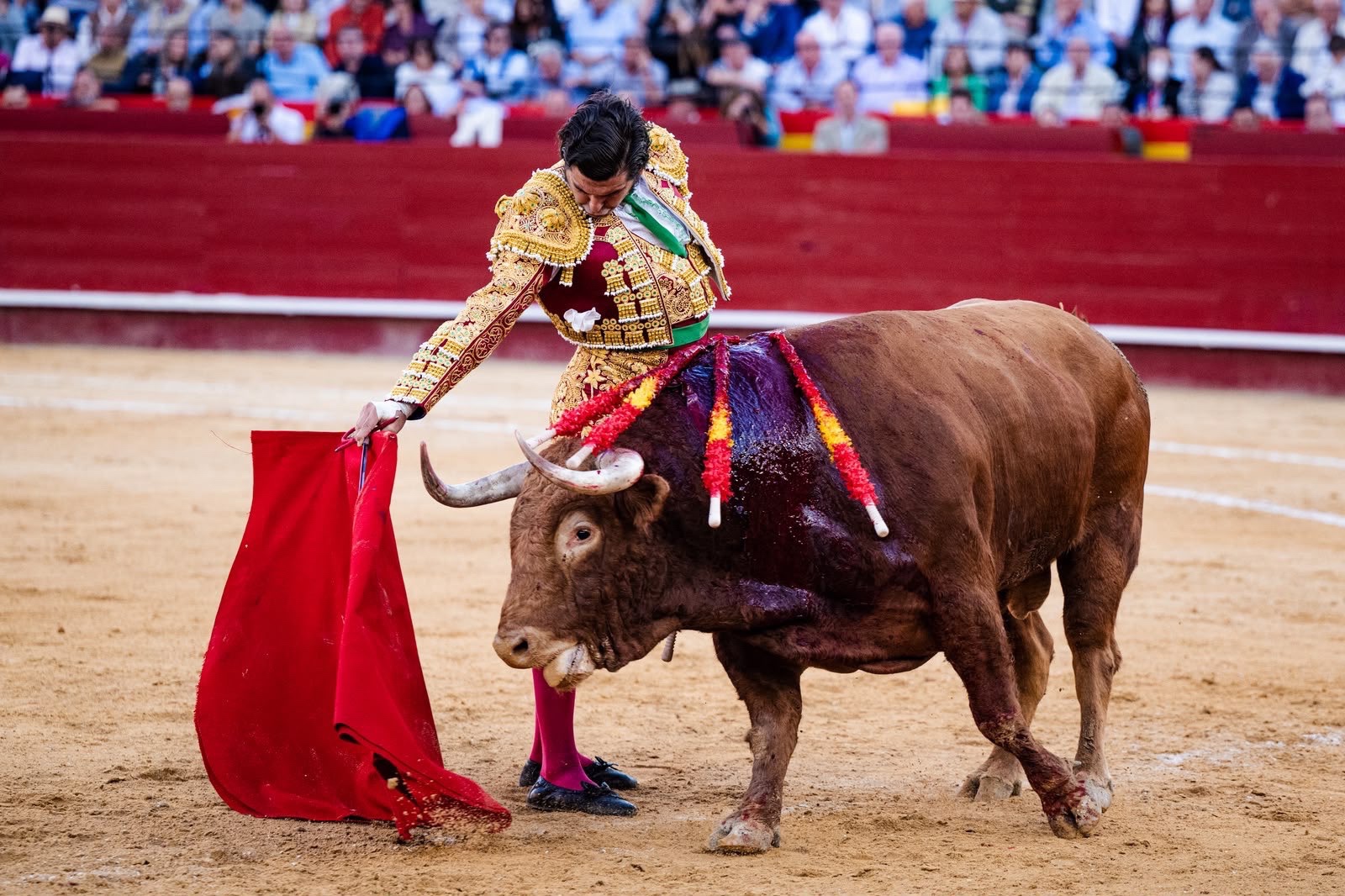Imagen 15