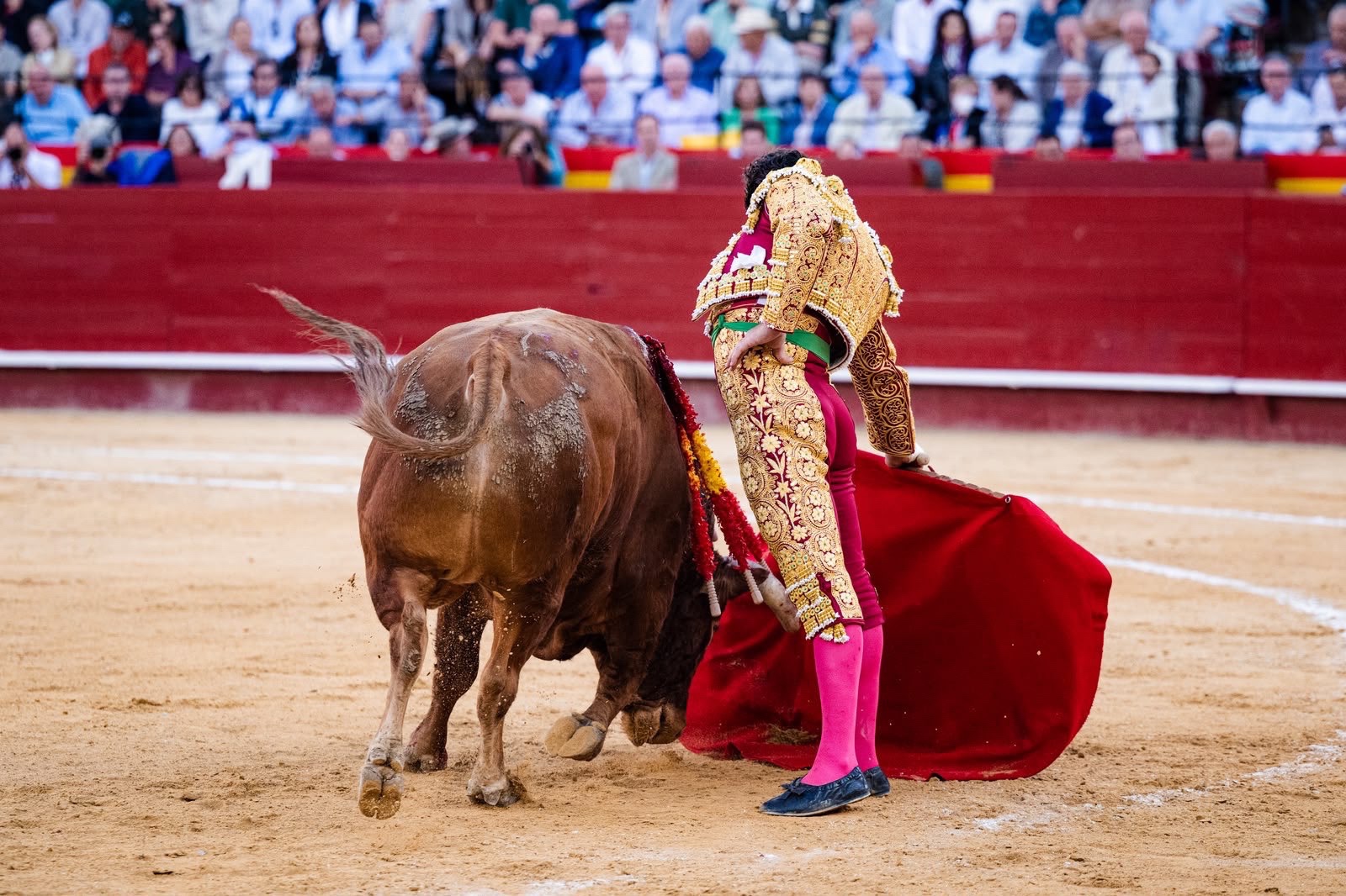 Imagen 16