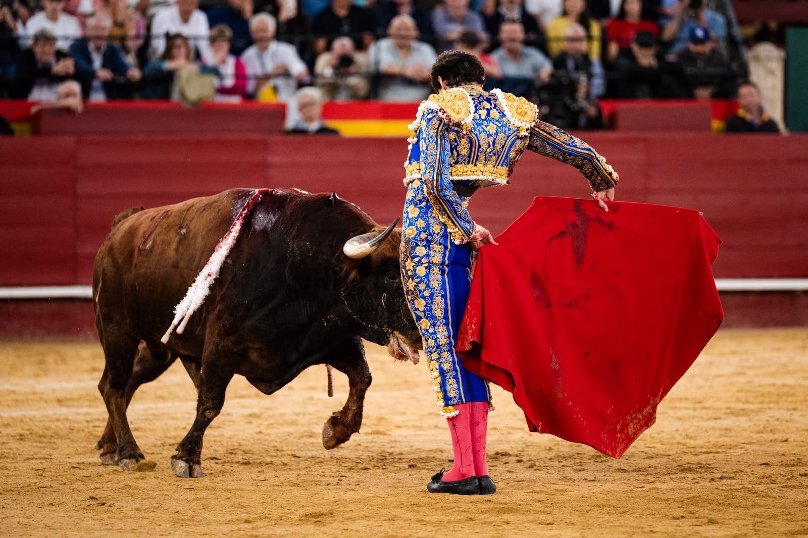 Imagen 17