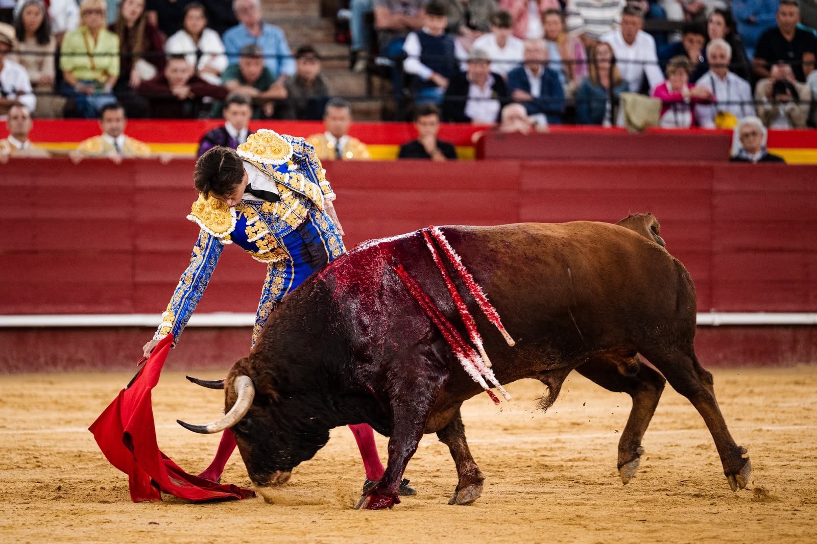 Imagen 18
