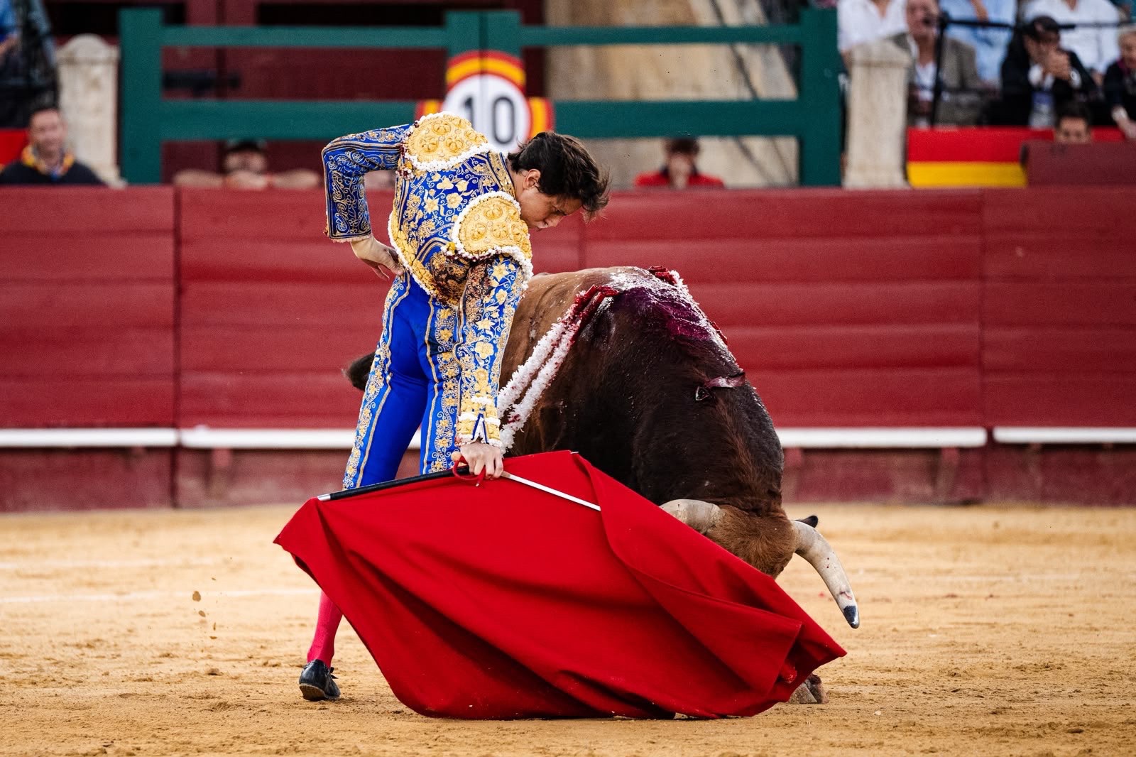 Imagen 19