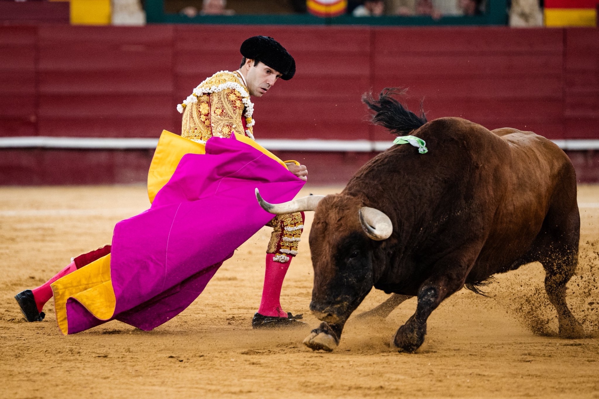 Imagen 21