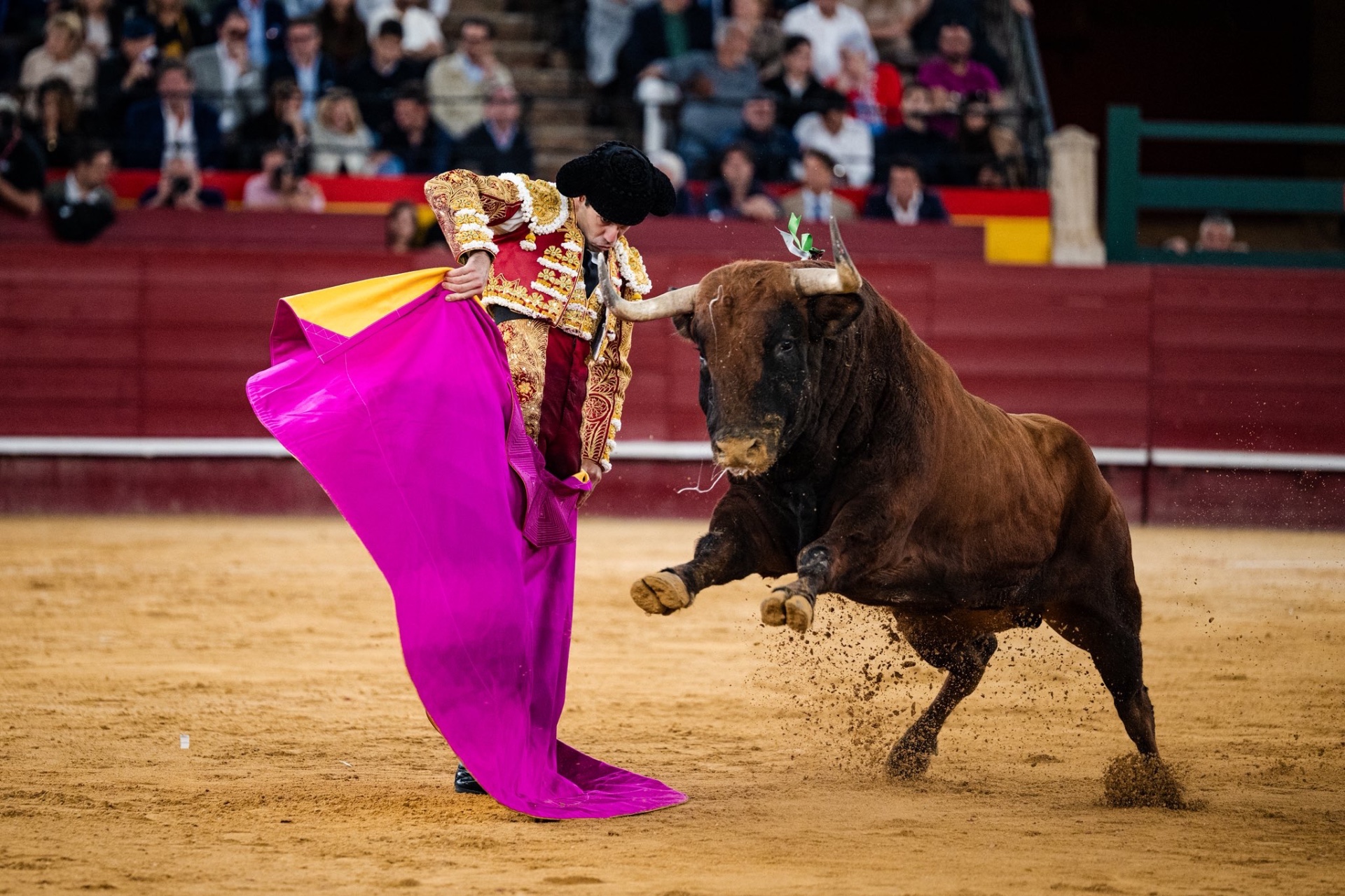 Imagen 22