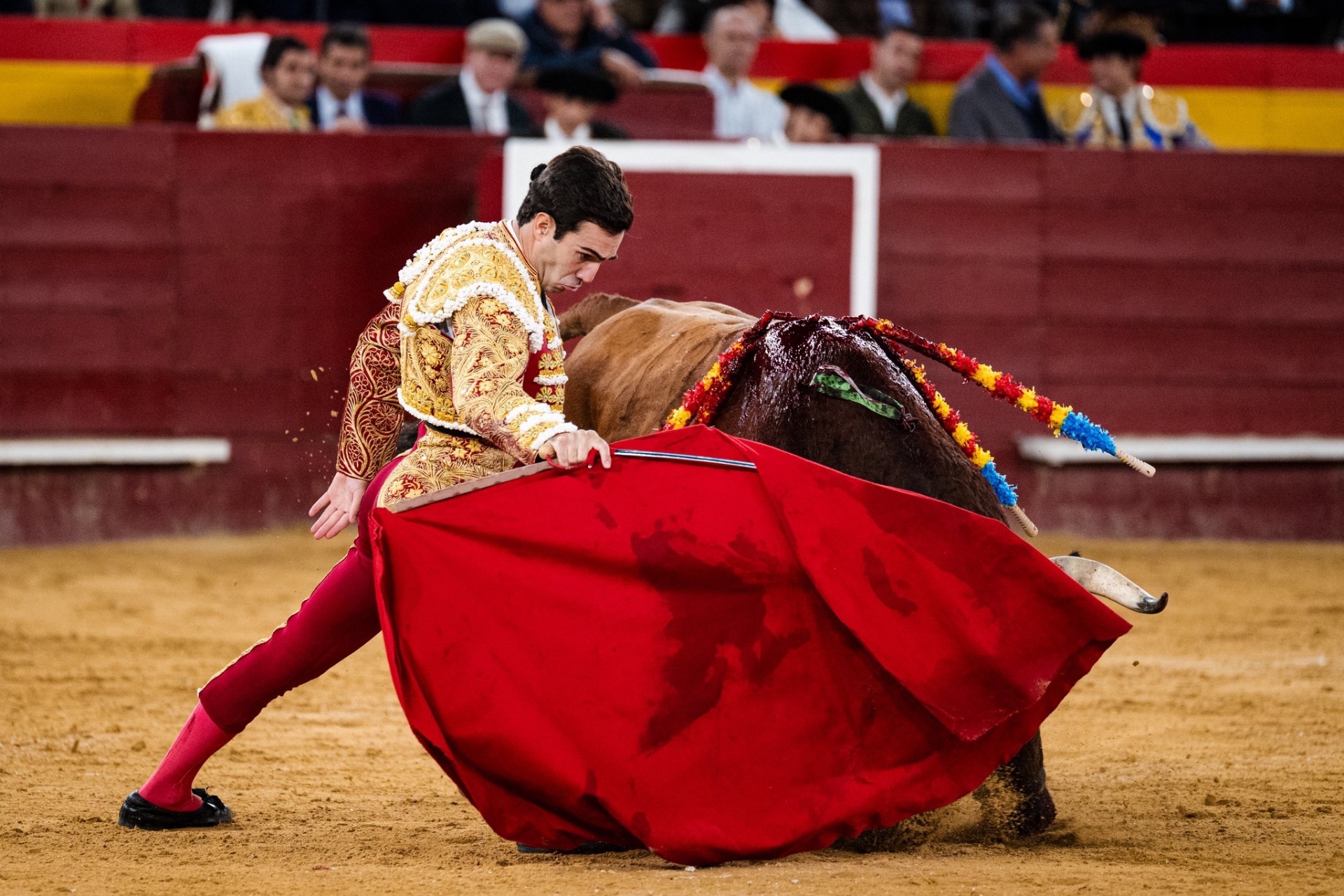 Imagen 23