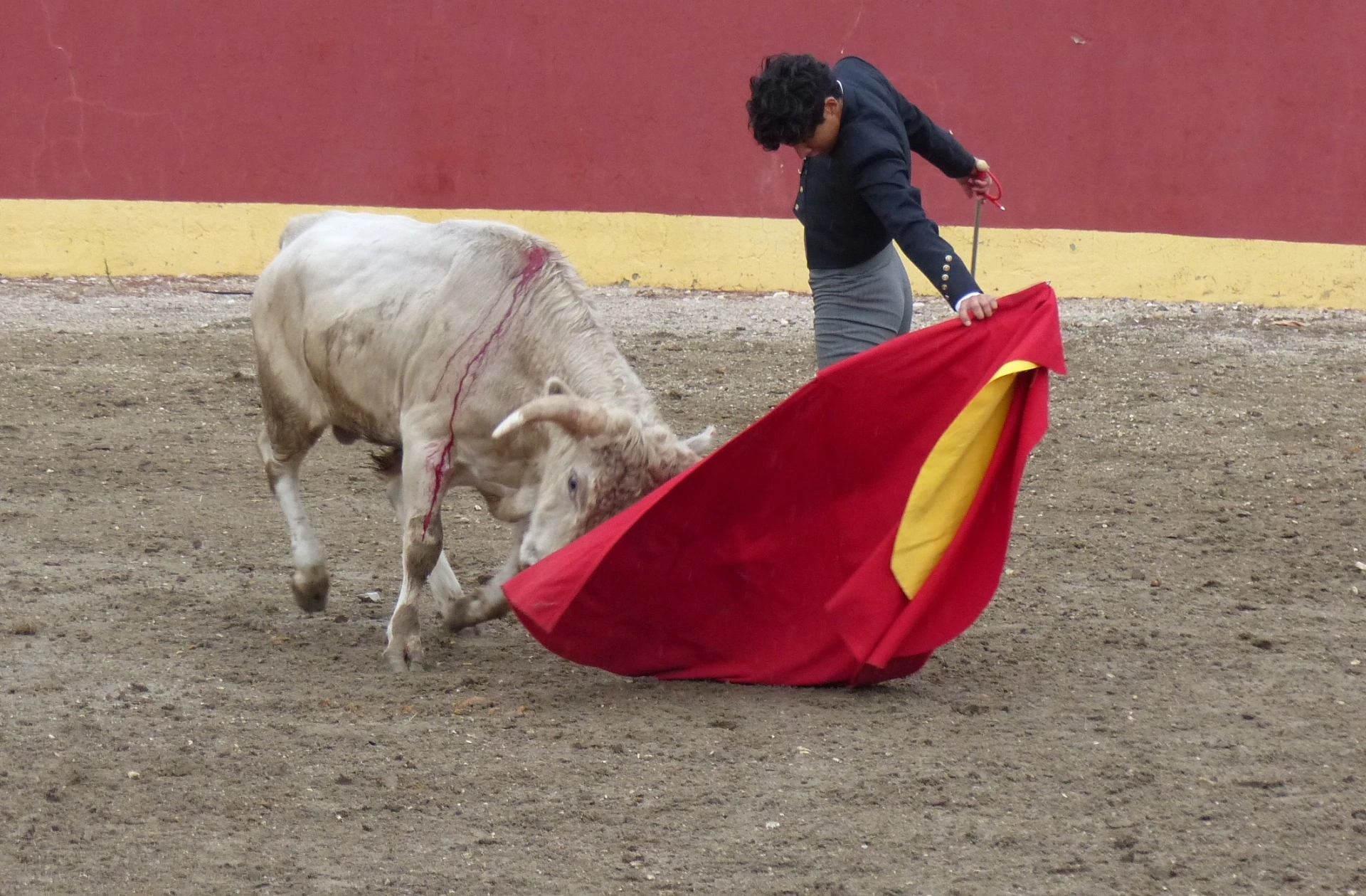 Imagen 2