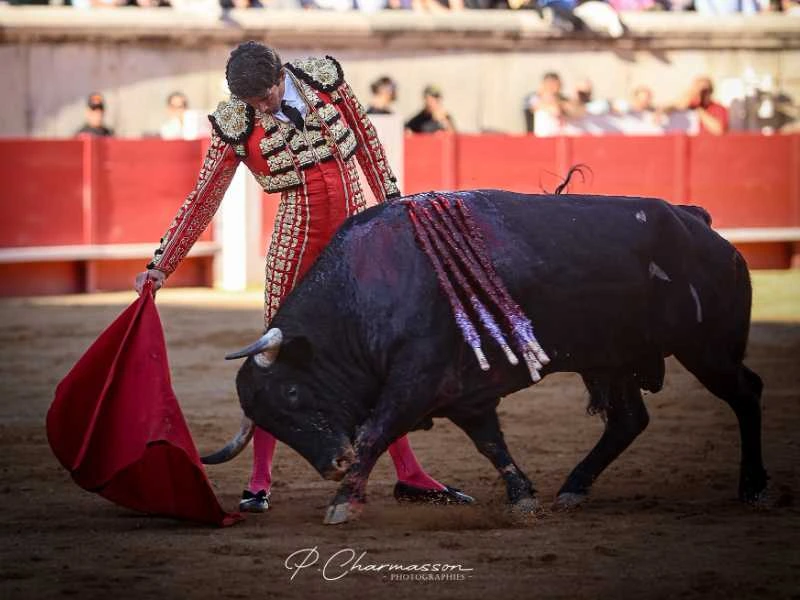 Sebastien Castella, una temporada 2026 marcada por la plenitud artística