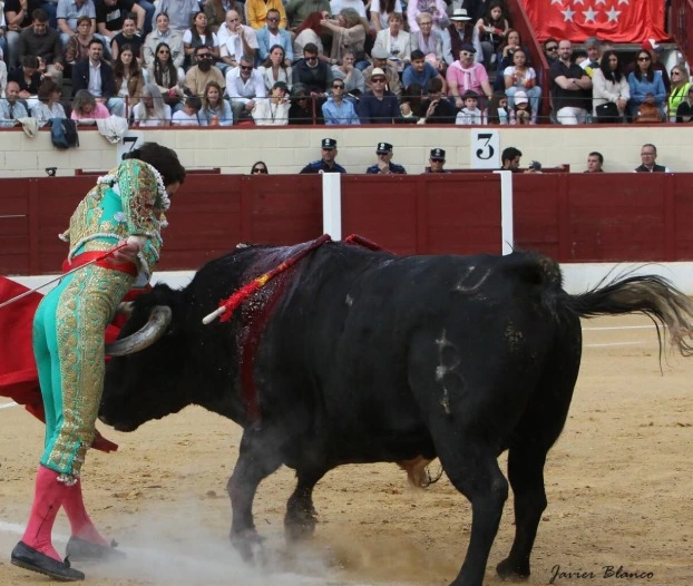 Imagen 1