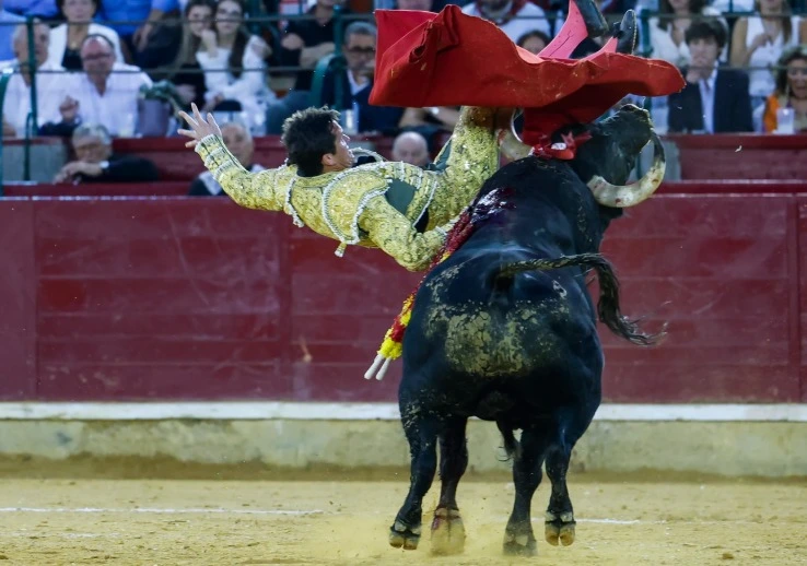 Imagen 1