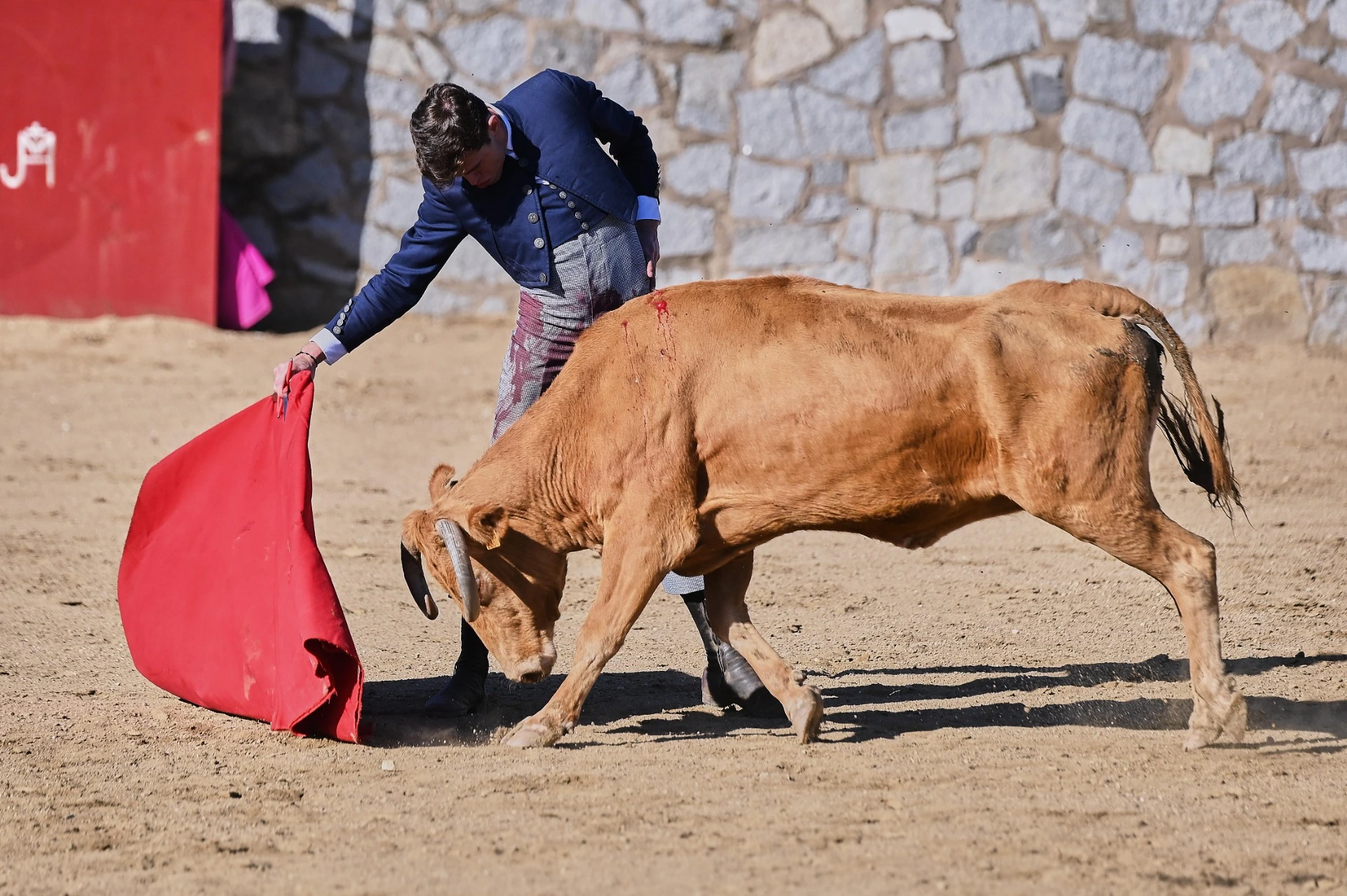 Imagen 8