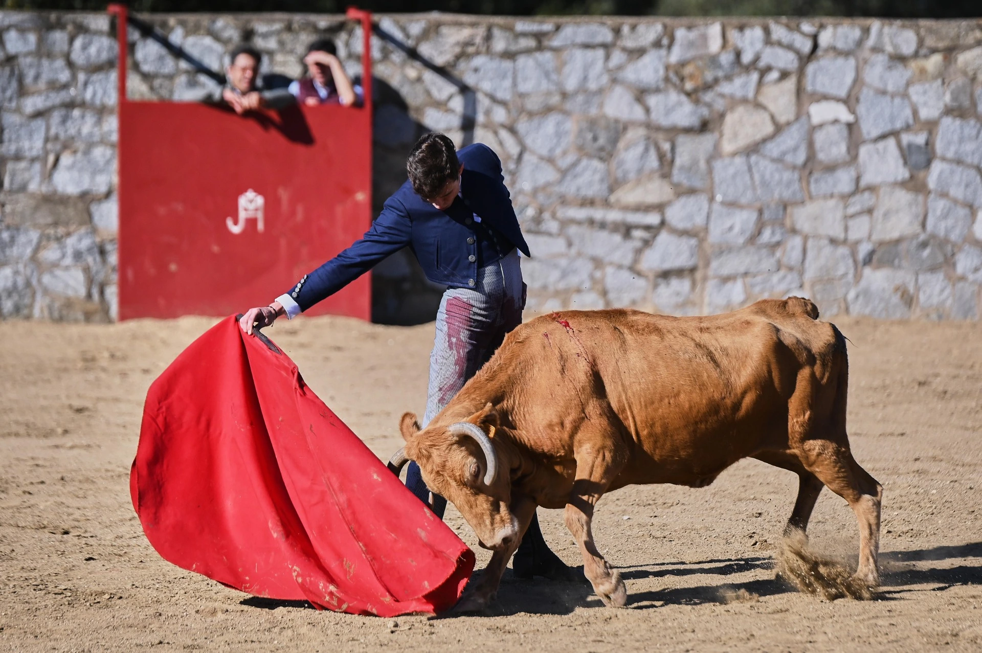 Imagen 9